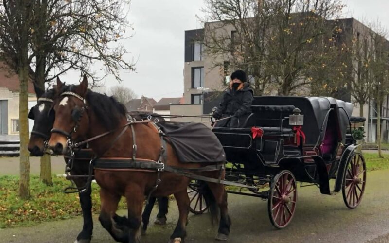 Balade en calèche