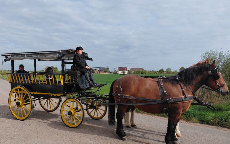 La wagonnette Janplezier